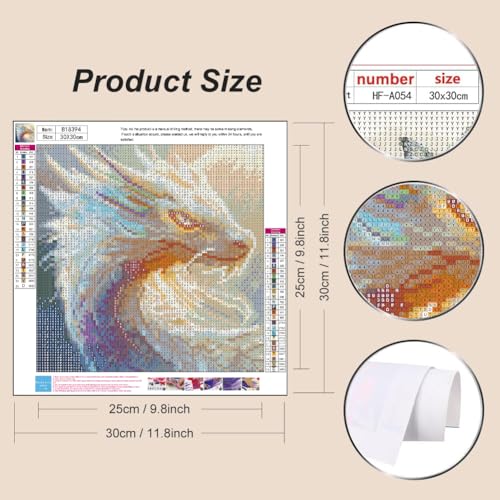 BSNRCH 5D Diamond Painting Kits for Adults Beginners Dragon Diamond Art Kits for DIY Full Round Paint with Diamond Art Dots Crystal Dragon Gem Art Painting Crafts Kits 12 x12inch - color: Dragon