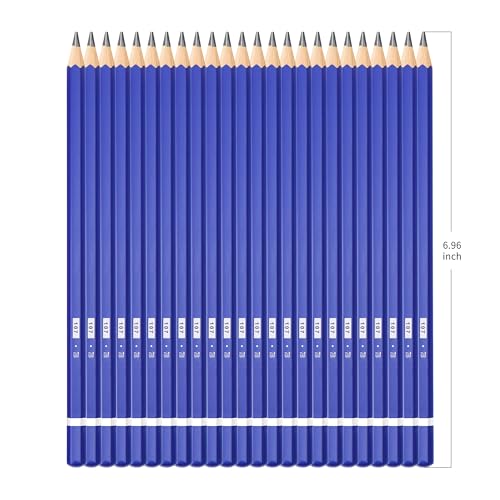 XDT#7B Drawing Pencils 24 Piece Set, Pro Art Graphite Sketching&Shading Supplies, Ideal For Kid Beginner Student Adults Artist - color: Blue