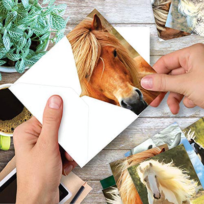 The Best Card Company - 10 Mixed Set Horse Note Cards Blank (4 x 5.12 Inch) - Wildlife, Animal Assorted Boxed Bulk Pack - Horses | Magnificent Manes M4601OCB-B1x10 - style: Magnificent Manes
