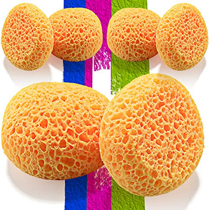 LAVEVE Knockdown Texture Sponge for Wall and Drywall Patch/Repair - Home Decor DIY Painting Ceiling Wall Texture - 2 Pcs