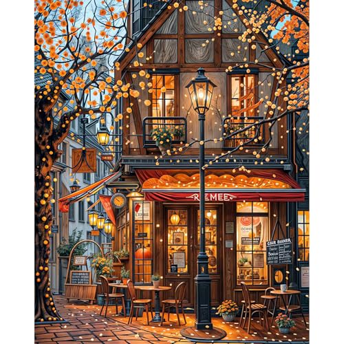 HITIRECOVI Adult Paint by Number Kits on Canvas,Streetscape Paint by Numbers Adults,Paint by Number Canvas for Adults,DIY Acrylic Oil Number Painting Kits for Home Wall Decor Gifts 16x20inch - color: streetscape B, size: 16×20in(Frameless)