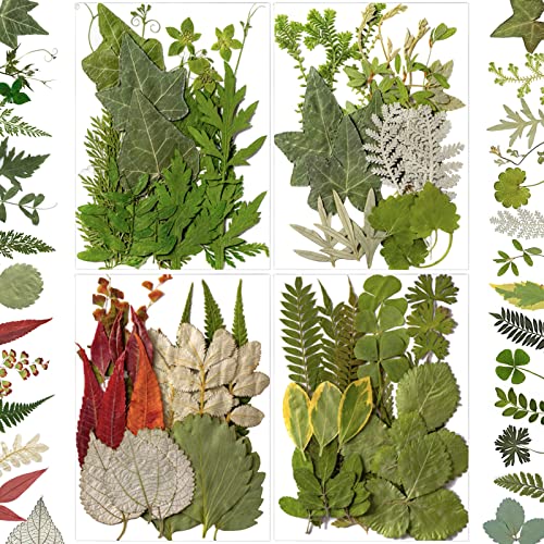 84 Pcs Dried Leaves Pressed Flowers for Resin Molds, Real Natural Assorted Dry Greenery for Leaf Craft DIY, Jewelry Making, Decoration Supplies, Soap and Candle Making - color: Green Leaves