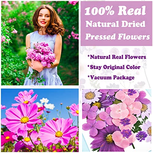 92 Pcs Purple Dried Pressed Flowers Real Natural Leave Petals for DIY Resin Candle Jewelry Nail Crafts - color: Purple