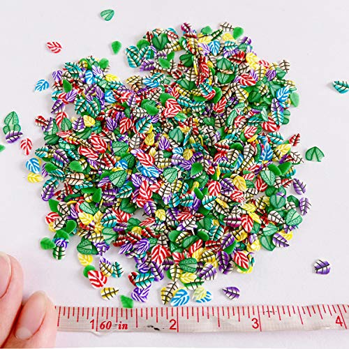 3000 PCS Polymer Fruit Slices Nail Art Slice for DIY 3D Polymer Slices Making for Nail Art（Leaves Slices - color: Leaves