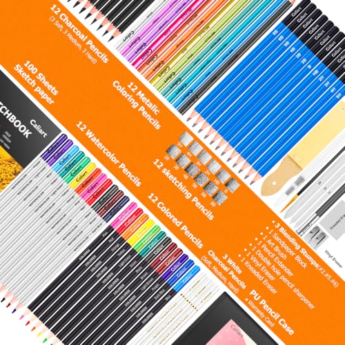 176PCS Art Supplies Sketching Kit, 34 Double Tip Brush Pens Art Markers