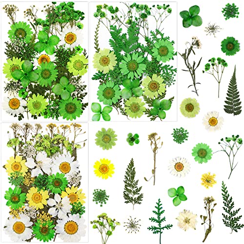 84 Pcs Green Dried Pressed Flowers Real Natural Leave for DIY Resin Molds Candle Jewelry Nail Crafts Gifts - color: Green