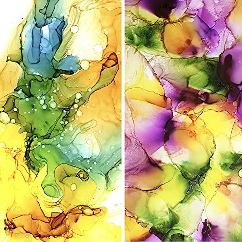 Pixiss Alcohol Ink Set - 25 Large Highly Saturated Colors - (15ml/.5oz), Alcohol Ink Storage Carrying Case Organizer by Pixiss, Stores 30x 0.5-Ounce Bottles of Alcohol Ink