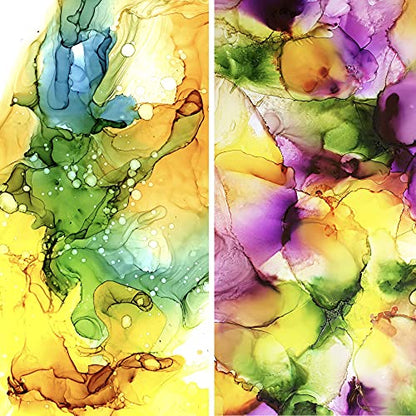 Pixiss Alcohol Ink Set - 25 Large Highly Saturated Colors - (15ml/.5oz), Alcohol Ink Storage Carrying Case Organizer by Pixiss, Stores 30x 0.5-Ounce Bottles of Alcohol Ink