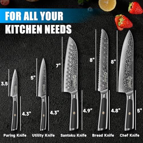 Sunnecko Damascus Kitchen Knife Set 5 Piece, Sharp Chef Knife Set Professional Kitchen Knives Sets Full Tang with Gift Box - size: Set of 5