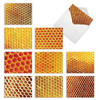 The Best Card Company - 10 Assorted Blank Notes Box Set 4 x 5.12 Inch with Envelopes (10 Designs, 1 Each) Boxed Assorted Kid Cards of Pets - HONEY I'M HOME M3060 - style: Honey I'm Home