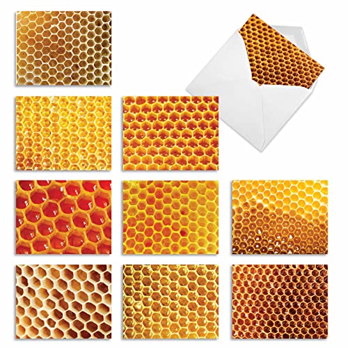 The Best Card Company - 10 Assorted Blank Notes Box Set 4 x 5.12 Inch with Envelopes (10 Designs, 1 Each) Boxed Assorted Kid Cards of Pets - HONEY I'M HOME M3060 - style: Honey I'm Home