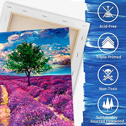 FIXSMITH Stretched Canvas, Multipack of 8, 5x7, 8x10, 11x14 & 12x16 Inches - 2 of Each, 100% Cotton, 8 oz Gesso-Primed, Art Supplies for Acrylic and Oil Painting. - size: Multipack-8Pack