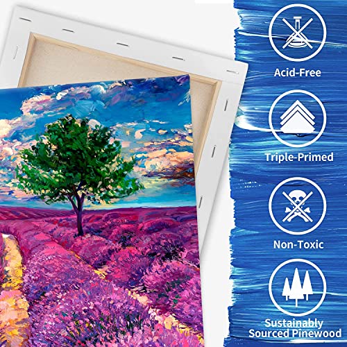 FIXSMITH Stretched Canvas, Multipack of 8, 5x7, 8x10, 11x14 & 12x16 Inches - 2 of Each, 100% Cotton, 8 oz Gesso-Primed, Art Supplies for Acrylic and Oil Painting. - size: Multipack-8Pack