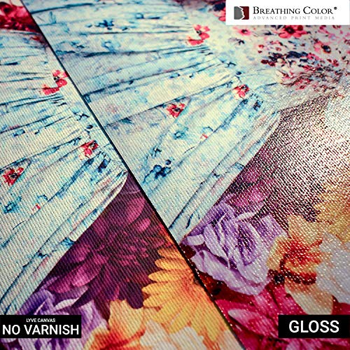 Breathing Color Timeless Archival Print Varnish - 1 Quart Glossy Finish - Premium Water-Based Canvas Coating with Fade Protection - size: 32 Fl Oz (Pack of 1)