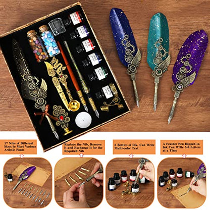 Aifeiter Feather Pen Ink Set, Wax Seal Stamp, Feather Calligraphy Pen, Birthday & (Purple) - color: Purple