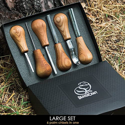 BeaverCraft Wood Carving Gouges Kit SC05 - Wood Carving Chisels Set with Palm Gouge & Flat Straight Chisel, Rounded Short Bent, V-chisels - Whittling Knives, Tools for Beginners and Profi Carvers