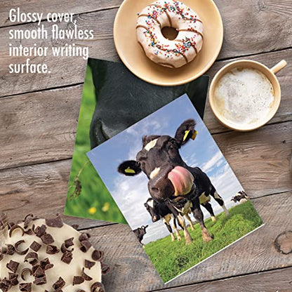 The Best Card Company - 10 Adorable Note Cards Blank (4 x 5.12 Inch) - Wildlife and Animals, Assorted Boxed Set - Cowlicks M4604OCB-B1x10 - style: Cowlicks