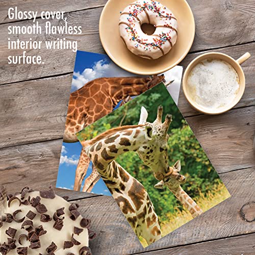 The Best Card Company - 10 Adorable Note Cards Blank (4 x 5.12 Inch) - Wildlife and Animal Cards, Assorted Boxed Set - Kissing Giraffes AM6843OCB-B1x10 - style: Kissing Giraffes