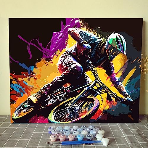 DIY Paint by Numbers for Adults Boy‘sMountain Biking Paint by Numbers DIY Painting Acrylic Paint by Numbers Painting Kit Home Wall Living Room Bedroom Decoration,16X20 DIY Frame Cycling Lovers - color: Car Lovers-02, size: 16''x20''(DIY Frame)