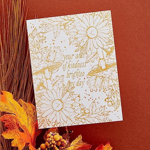 Spellbinders BetterPress Letterpress Ink Pad & Reinkers Bundle (Desert Sunset) - color: Desert Sunset