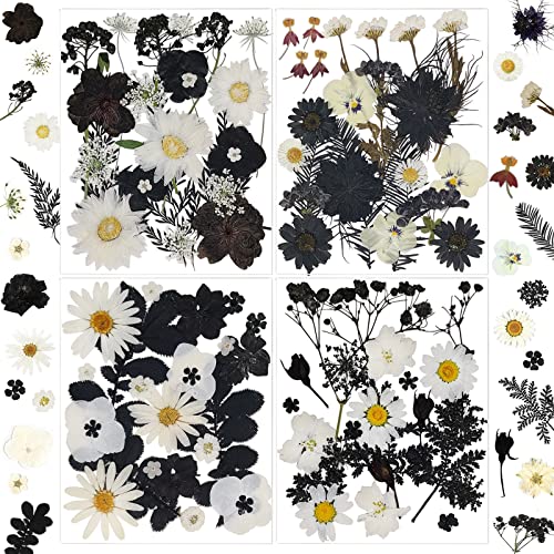 94 Pcs Black Pressed Dried Flowers for Resin Molds, Real Natural Flowers Leave for DIY Crafts, Jewelry, Candle, Soap Making Gifts - color: Black