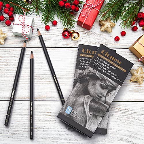 Qionew Professional Soft Medium and Hard Charcoal Pencils Drawing Set 10Pcs | Super Soft, Soft, Medium & Hard Charcoal Pencils for Drawing, Sketching, Shading, Beginners & Artists