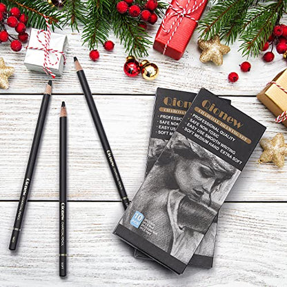 Qionew Professional Soft Medium and Hard Charcoal Pencils Drawing Set 10Pcs | Super Soft, Soft, Medium & Hard Charcoal Pencils for Drawing, Sketching, Shading, Beginners & Artists