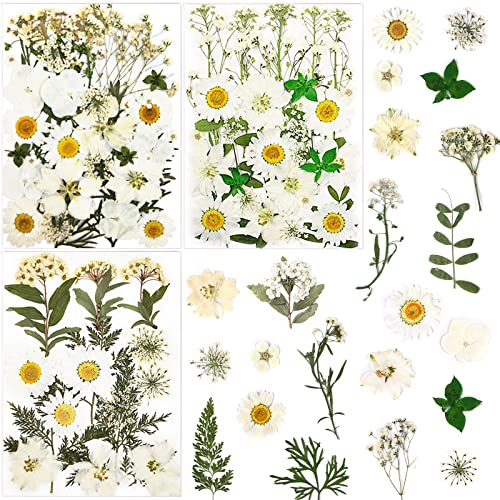 86Pcs White Pressed Dried Flowers Real Natural Leave for DIY Resin Molds Candle Jewelry Nail Crafts Gifts - color: White