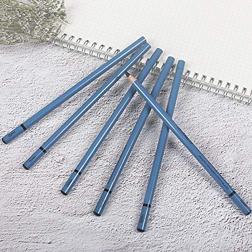 12pcs Hard Charcoal Pencil Set for Drawing,Sketching, Shading,Black Graphite Pencil Sticks,Birthday Gift for Artist, Hobbyist,Beginner - color: 12pcs*Hard
