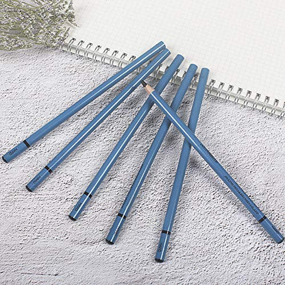 12pcs Hard Charcoal Pencil Set for Drawing,Sketching, Shading,Black Graphite Pencil Sticks,Birthday Gift for Artist, Hobbyist,Beginner - color: 12pcs*Hard
