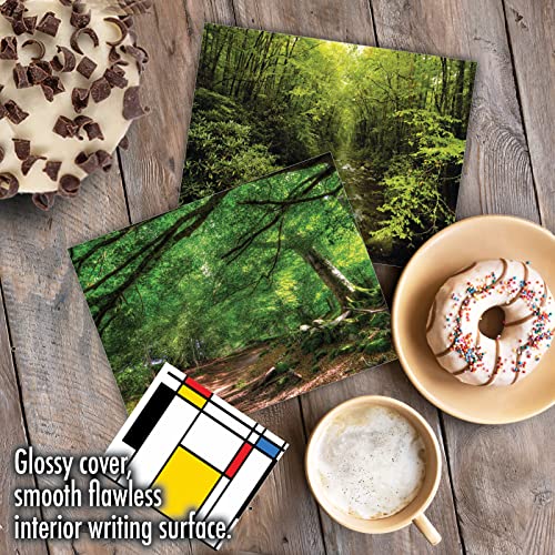 Best Card Co Box of 10 All Occasion Cards Blank (4 x 5.12 Inch) Scenic Landscape Cards Assorted Nature Trails for Men and Women M6467OCB-NB - style: Nature Trails