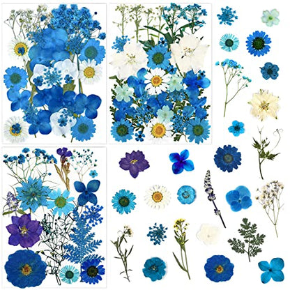 85 Pcs Blue Pressed Dried Flowers for Resin Molds, Real Natural Flowers Leaves Bulk for DIY Art Nail Crafts, Jewelry, Candle, Soap Making - color: Blue