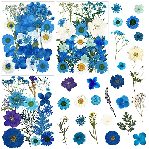 85 Pcs Blue Pressed Dried Flowers for Resin Molds, Real Natural Flowers Leaves Bulk for DIY Art Nail Crafts, Jewelry, Candle, Soap Making - color: Blue