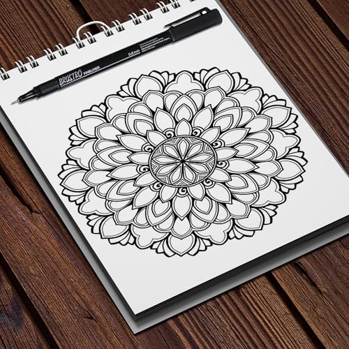 BRUSTRO Professional Pigment Based Fineliner - Set of 10 Colour - Black