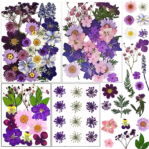 92 Pcs Purple Dried Pressed Flowers Real Natural Leave Petals for DIY Resin Candle Jewelry Nail Crafts - color: Purple