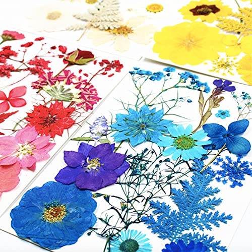 85 Pcs Blue Pressed Dried Flowers for Resin Molds, Real Natural Flowers Leaves Bulk for DIY Art Nail Crafts, Jewelry, Candle, Soap Making - color: Blue