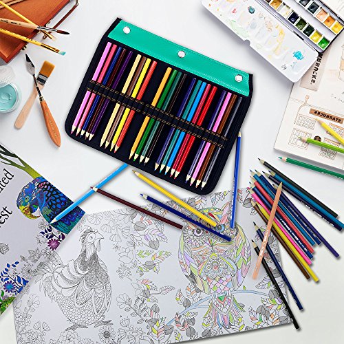 YOUSHARES 54 Slots Pencil Sleeve - Standard 3 Ring Binder Designed Pencil Page Compatible with 216 Slots Pencil Case for Watercolor Pencil, Gel Pen & Cosmetic Brush (Green) - color: Layer Green