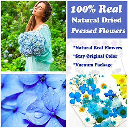 85 Pcs Blue Pressed Dried Flowers for Resin Molds, Real Natural Flowers Leaves Bulk for DIY Art Nail Crafts, Jewelry, Candle, Soap Making - color: Blue