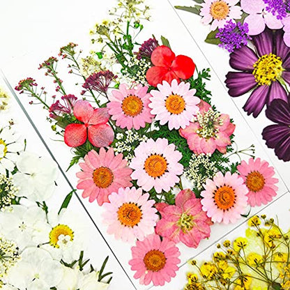 83 Pcs Pink Real Dried Pressed Flowers Natural Leave Petals for DIY Resin Molds Candle Jewelry Nail Crafts - color: Pink