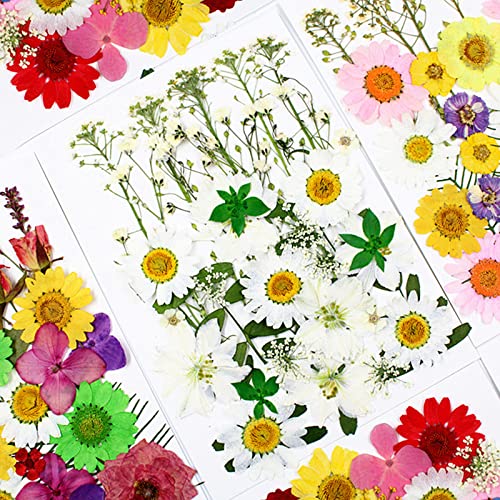 86Pcs White Pressed Dried Flowers Real Natural Leave for DIY Resin Molds Candle Jewelry Nail Crafts Gifts - color: White