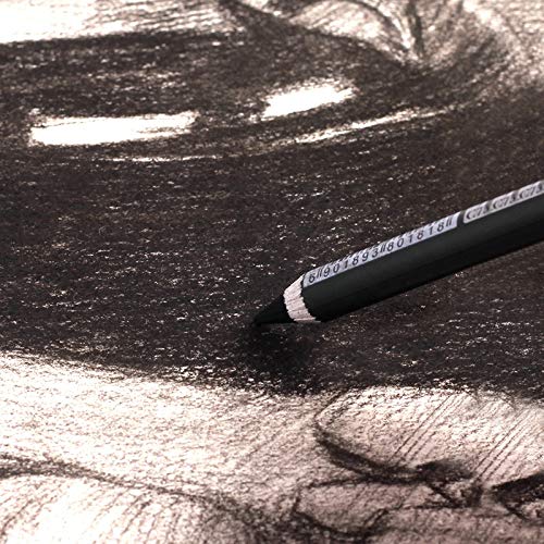 Charcoal Pencil Set - 12pcs/pk - Black Free Cutting Paper Handle Charcoal Pencil C7350 (Soft) - style: Soft