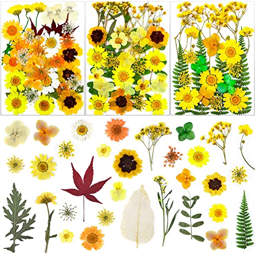 93 Pcs Yellow Dried Pressed Flowers Real Natural Leave Petals for DIY Resin Candle Jewelry Nail Crafts - color: Yellow