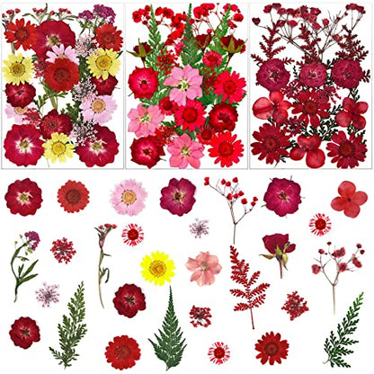 75 Pcs Red Dried Flowers Real Natural Pressed Leave Petals for DIY Resin Candle Jewelry Nail Pendant Crafts - color: Red