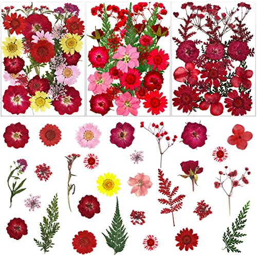 75 Pcs Red Dried Flowers Real Natural Pressed Leave Petals for DIY Resin Candle Jewelry Nail Pendant Crafts - color: Red