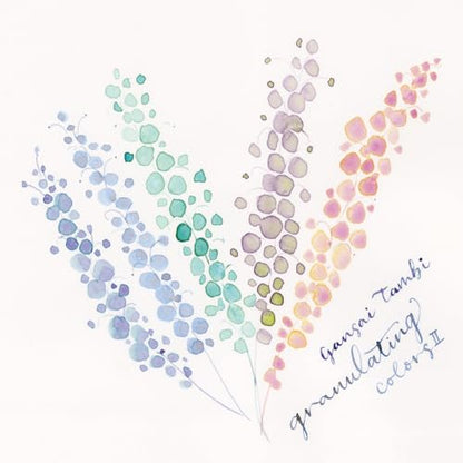 Kuretake GANSAI TAMBI GRANULATING COLOR II 5 colors set, Watercolor Paint Set, Professional-Quality for Artists and Crafters, AP-Certified, Made in Japan - style: Granulating II